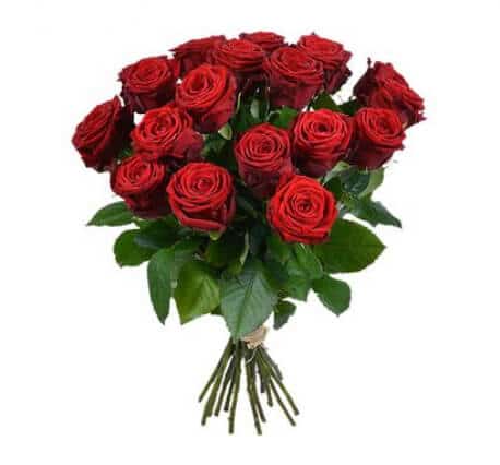 Roses